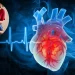 5 Myths About Heart Disease That Indian Patients Still Believe