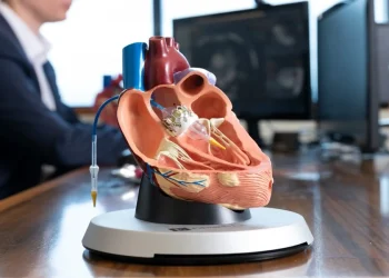 TAVI: A Simple Guide for Patients and Families