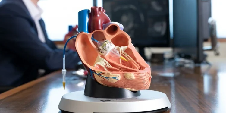 TAVI: A Simple Guide for Patients and Families