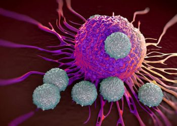 How Does the Immune System Respond to Cancer? A Patient’s Guide