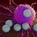 How Does the Immune System Respond to Cancer? A Patient’s Guide